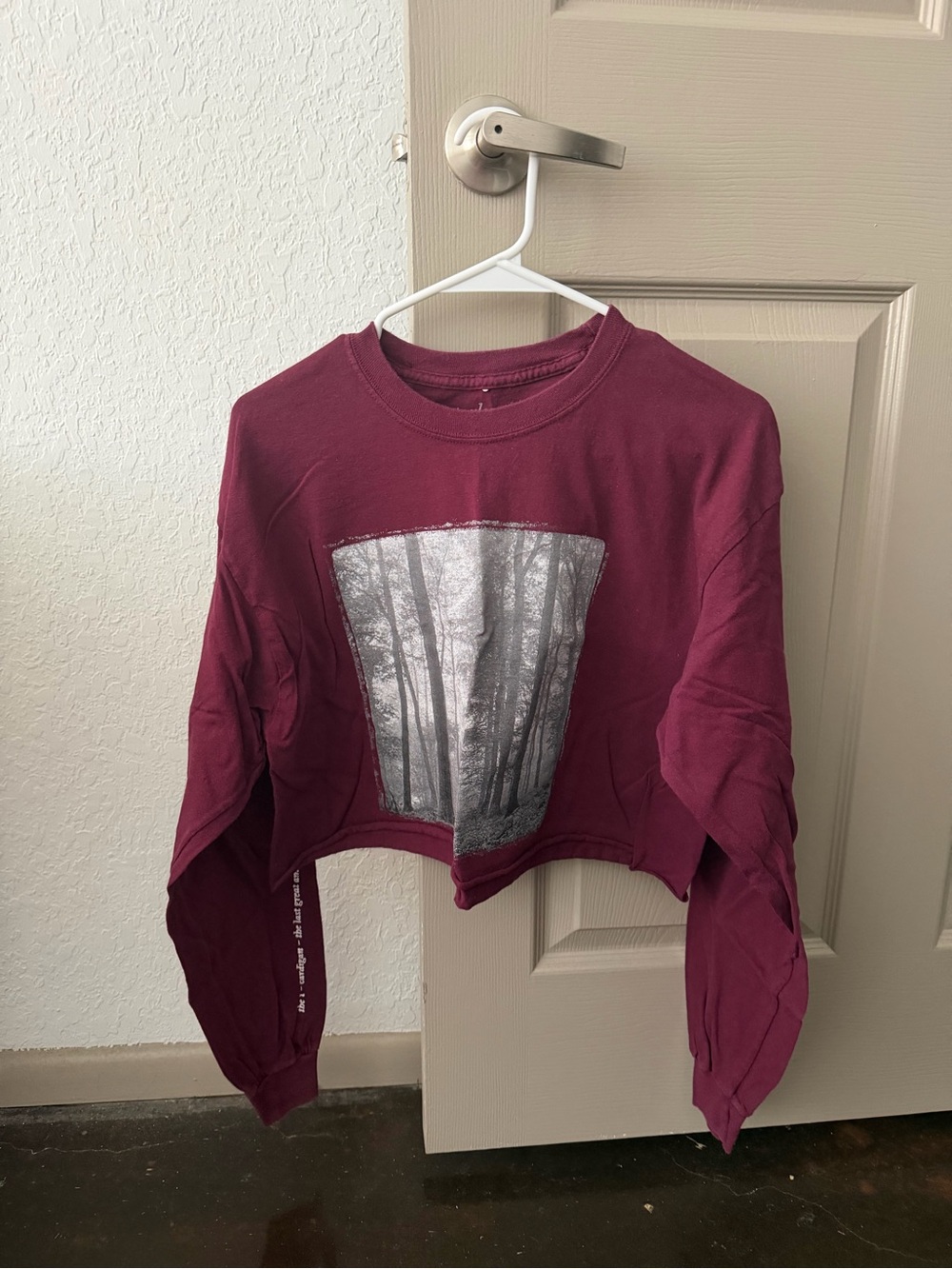 Taylor Swift Crop Top